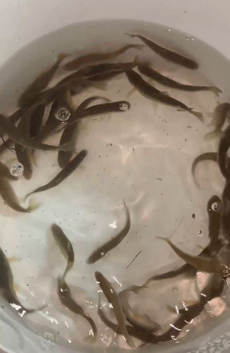 Барахолка рыбака