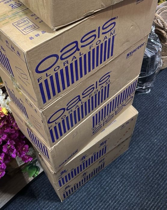 Оазис флористическсая губка