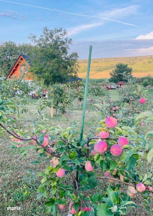 Cabana cu livada si panorama superba – Refugiu in natura, Blaj