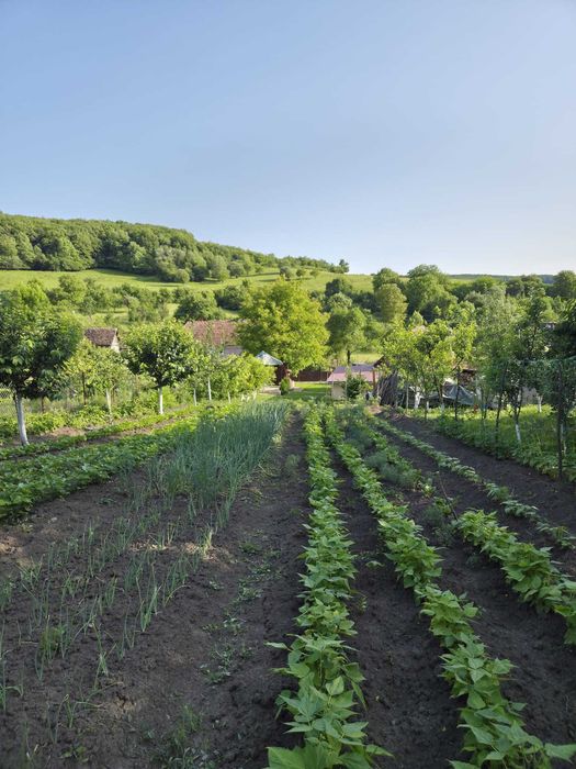 casa de vanzare in Mura Mare