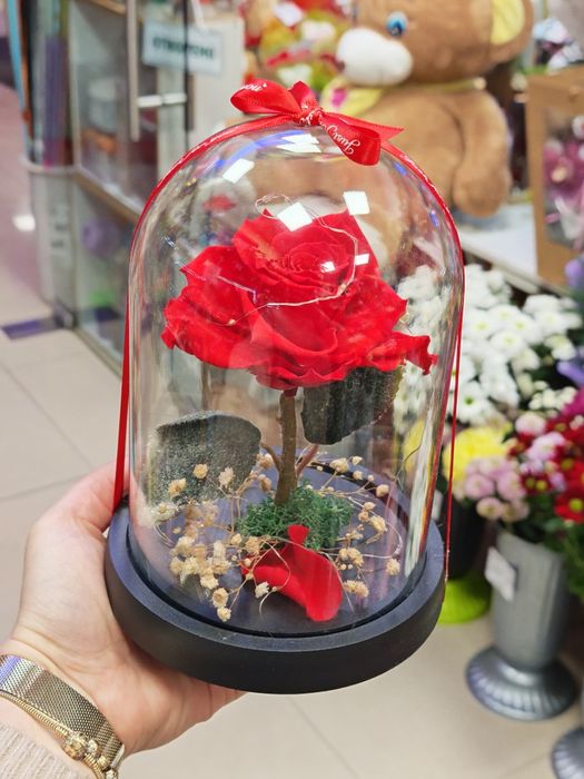Вечна рози в стъкленица. Чудесен подарък за Свети Валентин и 8ми Март