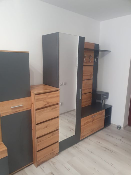 Montaj și manipulare mobila Buzau