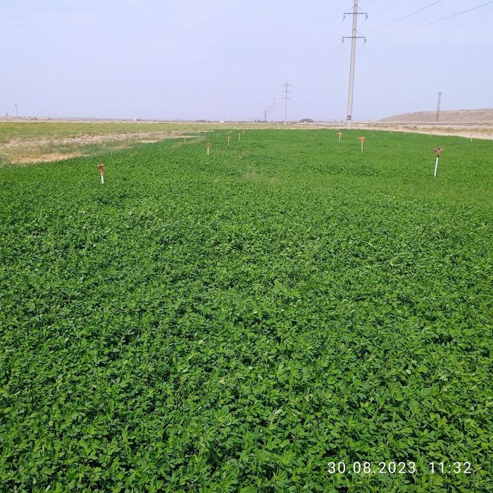 Ер ижарага берилади