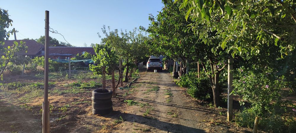 Продава се Къща в с. Воденичане, Област Ямбол - 80 кв.м за 274 €/кв.м - Снимка #3