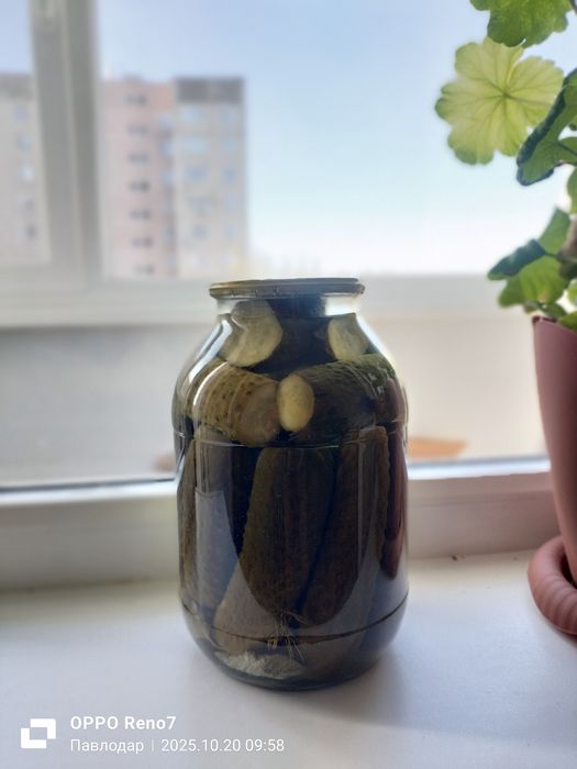 Продам соления домашние