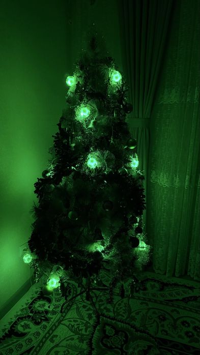 Шырша барлық затымен