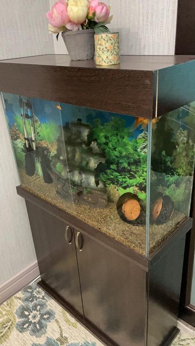 Продажа аквариумов