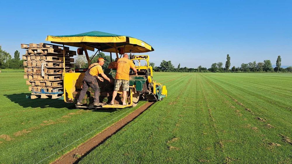 Тревен чим като килим от производител