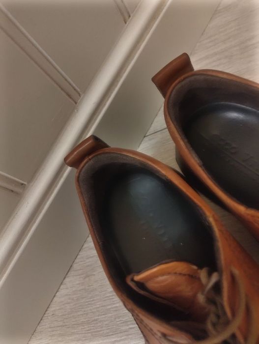 Ту-ф-ли, бро-ги Ecco Vitrus.