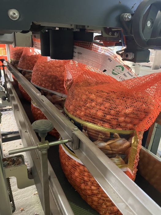 Arpagic Olanda.. direct importator