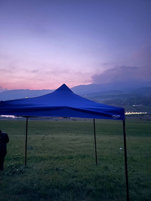 Dima zo’ntik orginal