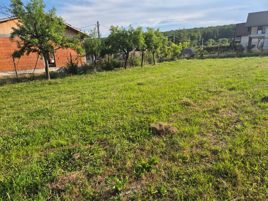 Teren intravilan de vânzare Smeura – Hințești