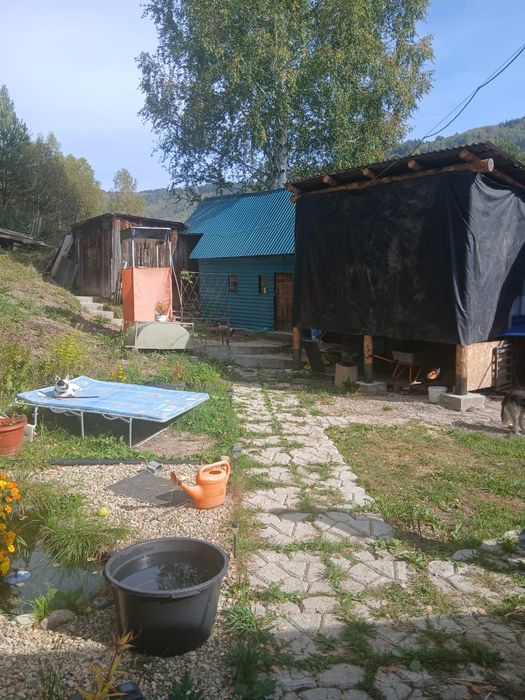 Продам дачу_пасеку на шаравке