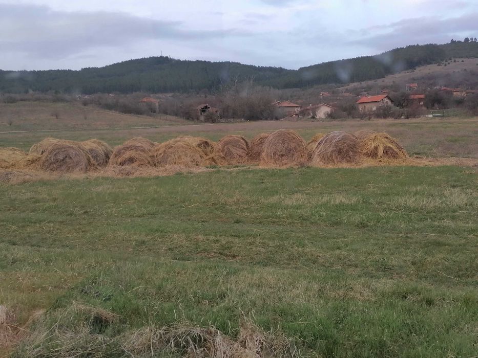Ролонни бали сено и слама