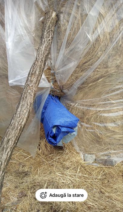 Vand baloti rotunzi de fan