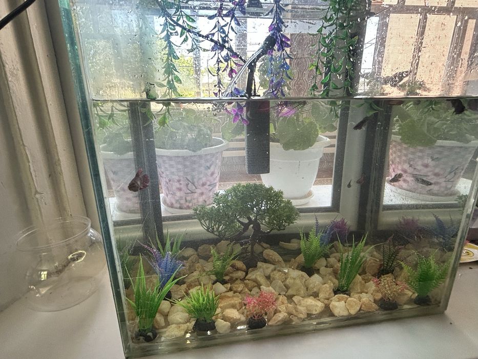 Аквариюм сатылады