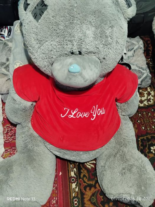 Teddy ayigʻi  Chilonzor tumani.