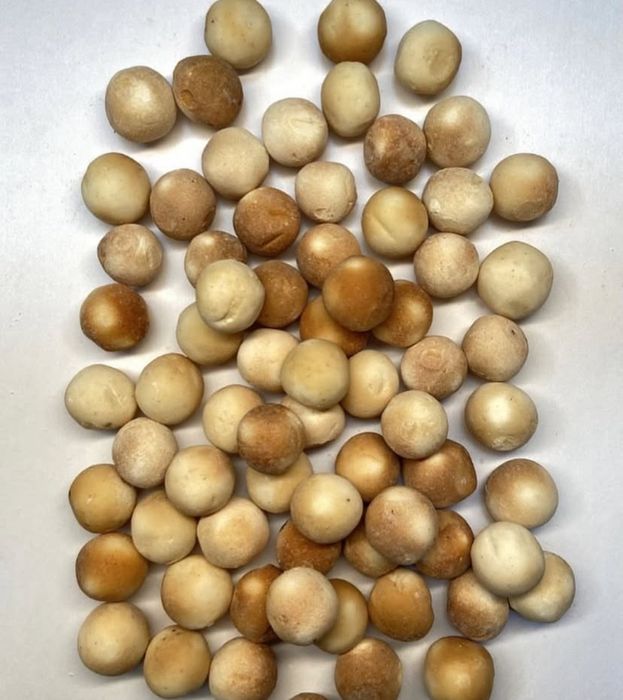 Құрттар оптом бағада!