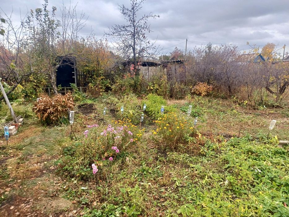Продам дачу СО "Элеваторщик", 4 улица, 8 соток