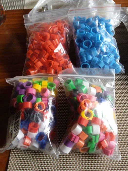 Пръстени и други аксесоари за птици