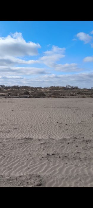 Maxtumquli OFYda joy õrin sotiladi