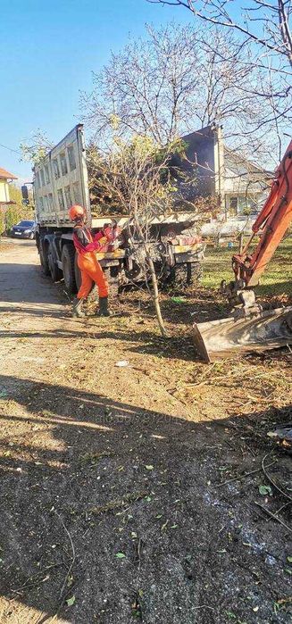 Почистване на дворове /дворни места/, извозване на храсти и отпадъци.