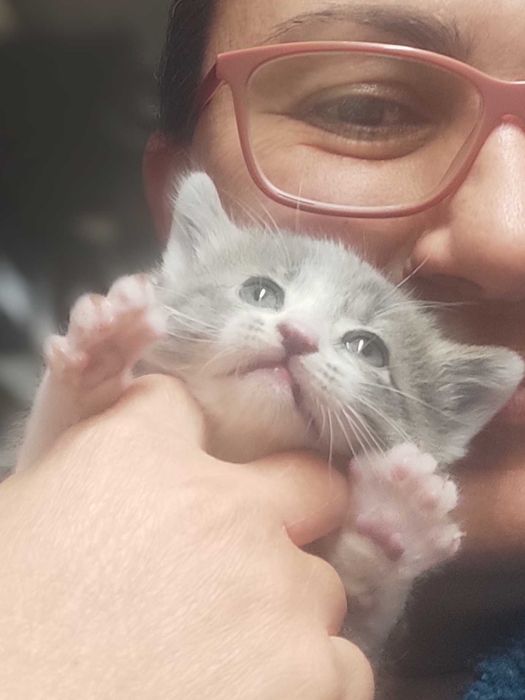 1-месечно момченце търси дом