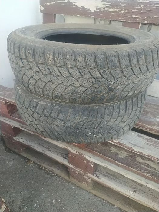 Две покрышки нокиан
