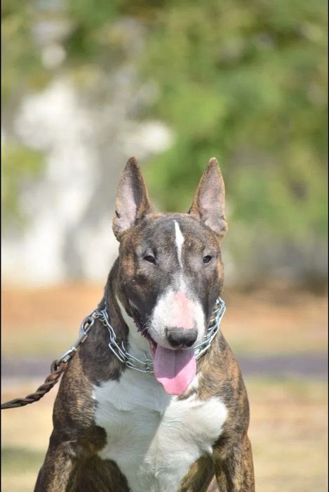 Открыт для вязок