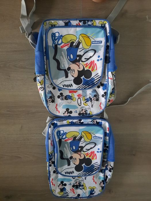 Ghiozdane pentru scoala copii