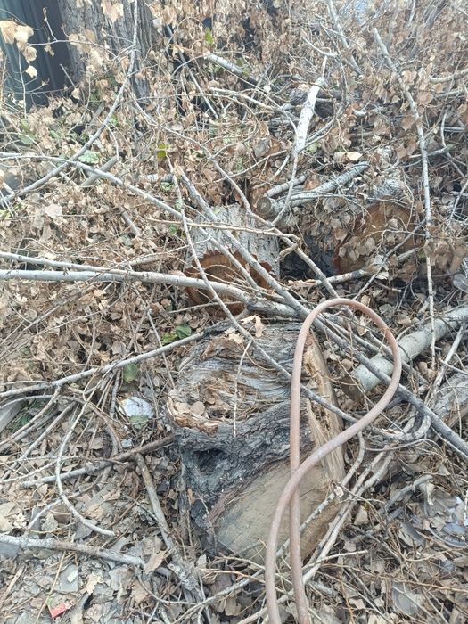 Отдам драва бесплатно