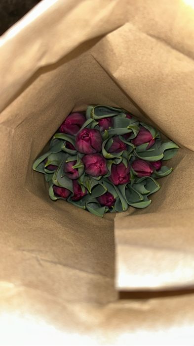 Тюлтпаны на 8 марта