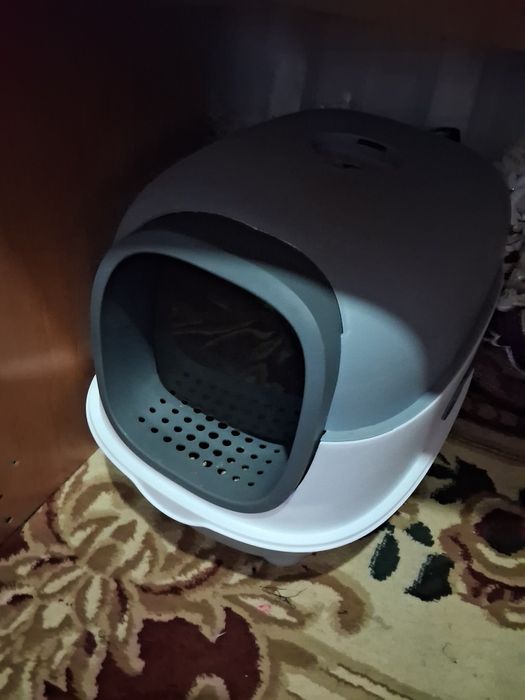 Зоти тоза 1 йош пол:мужское келшамиз