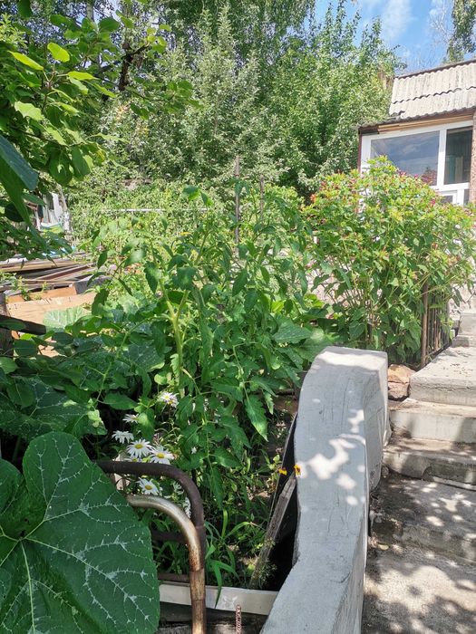Продам дачу на Мирном