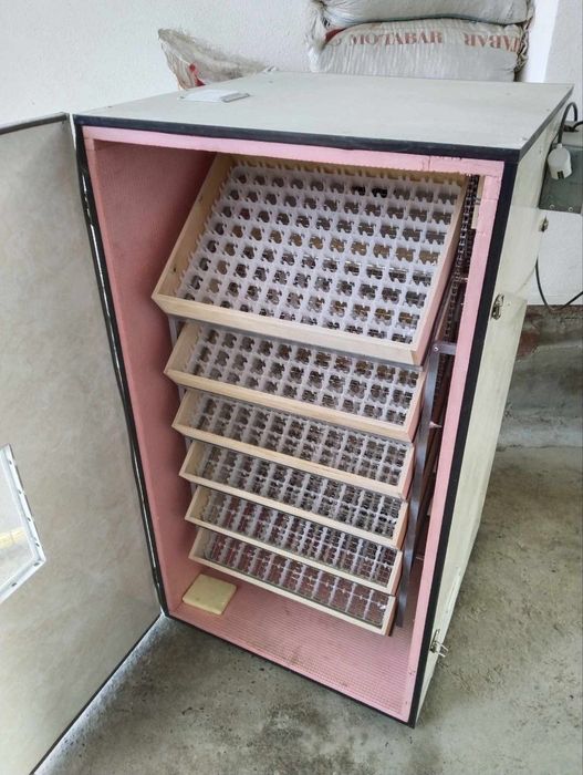 İnkubator, 500 talik 5 yil