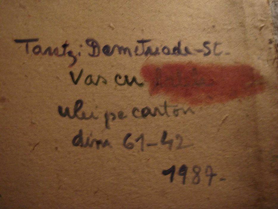 Tantzi Demetriade Stefan Vas cu flori Ulei pe carton 61/42cm 1987 rama