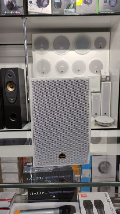 Настенная Потолочная акустика в широком ассортименте.