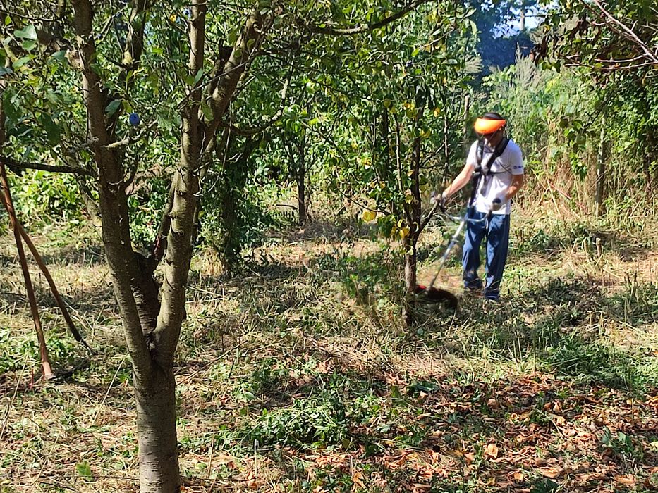 Косене на тревни площи, поддръжка на дворове