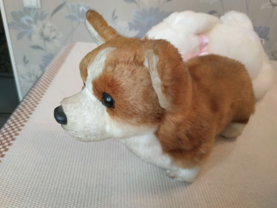 Продаю.мягкую игрушку собачка.маламут