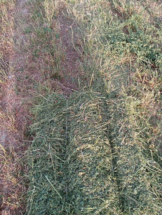 Beda pres 130 dona toza 2 orim 3 orim toza  dastafka ichida