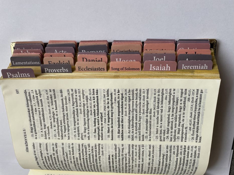 Personalizare Biblii pe limba  maghiară si română