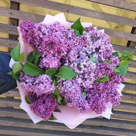 Букеты сирень ароматные