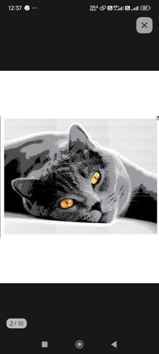 Ковер,палас универсальный