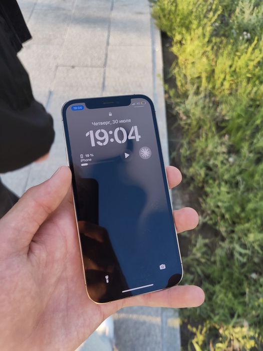 Iphone 12 pro (128gb)