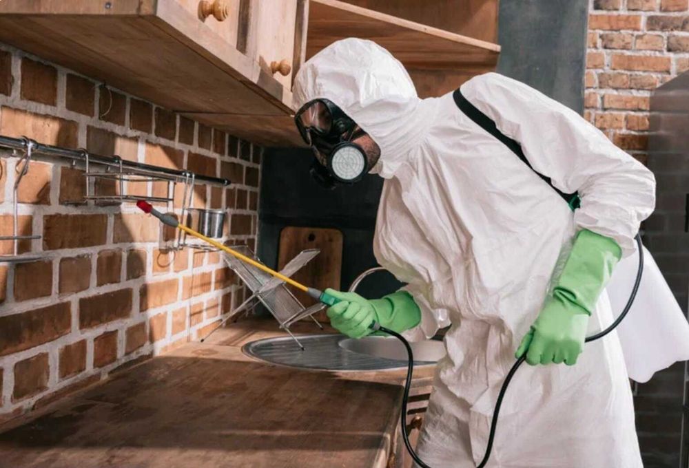 дезинфекция клопов уничтожение клопов dezinfeksiya klapa tarakan