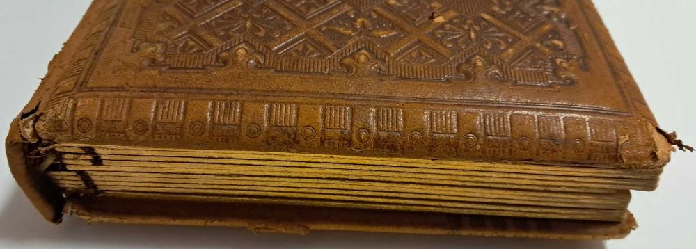 Album foto vechi cu poze cabinet Art Nouveau  1900