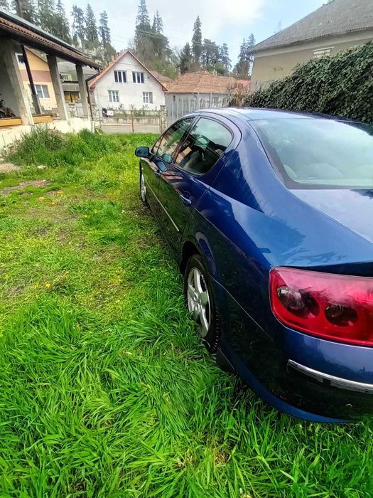 Vand Peugeot407 139 CP