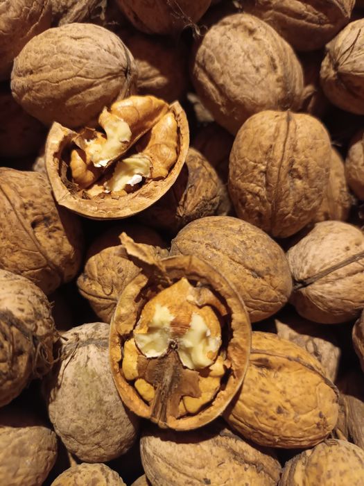 Nuci în coajă de anul acesta