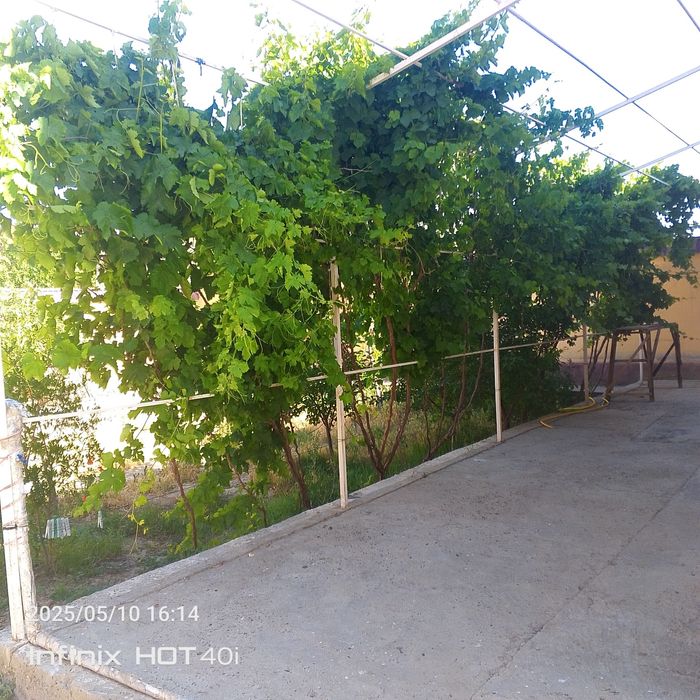 Katej srochna sotiladi ipotekaga xam buladi