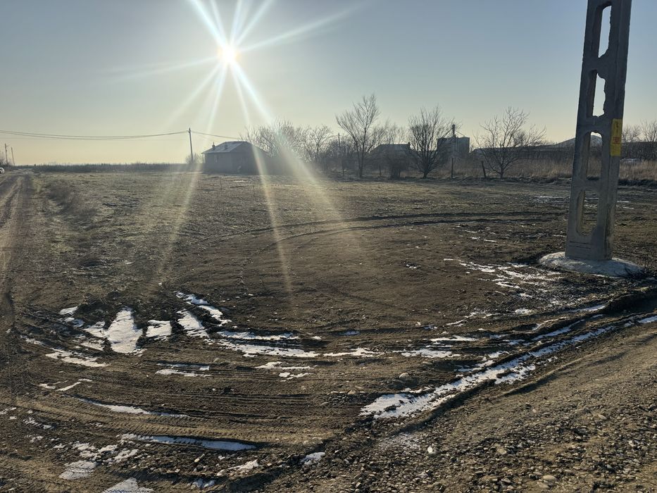 Teren intravilan  Bentu